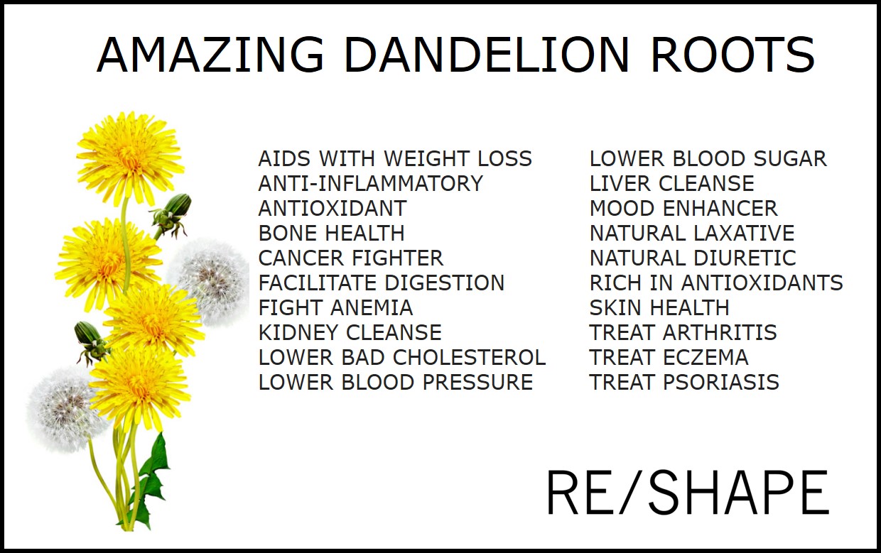 Dandelion Roots Benefits — RESHAPE