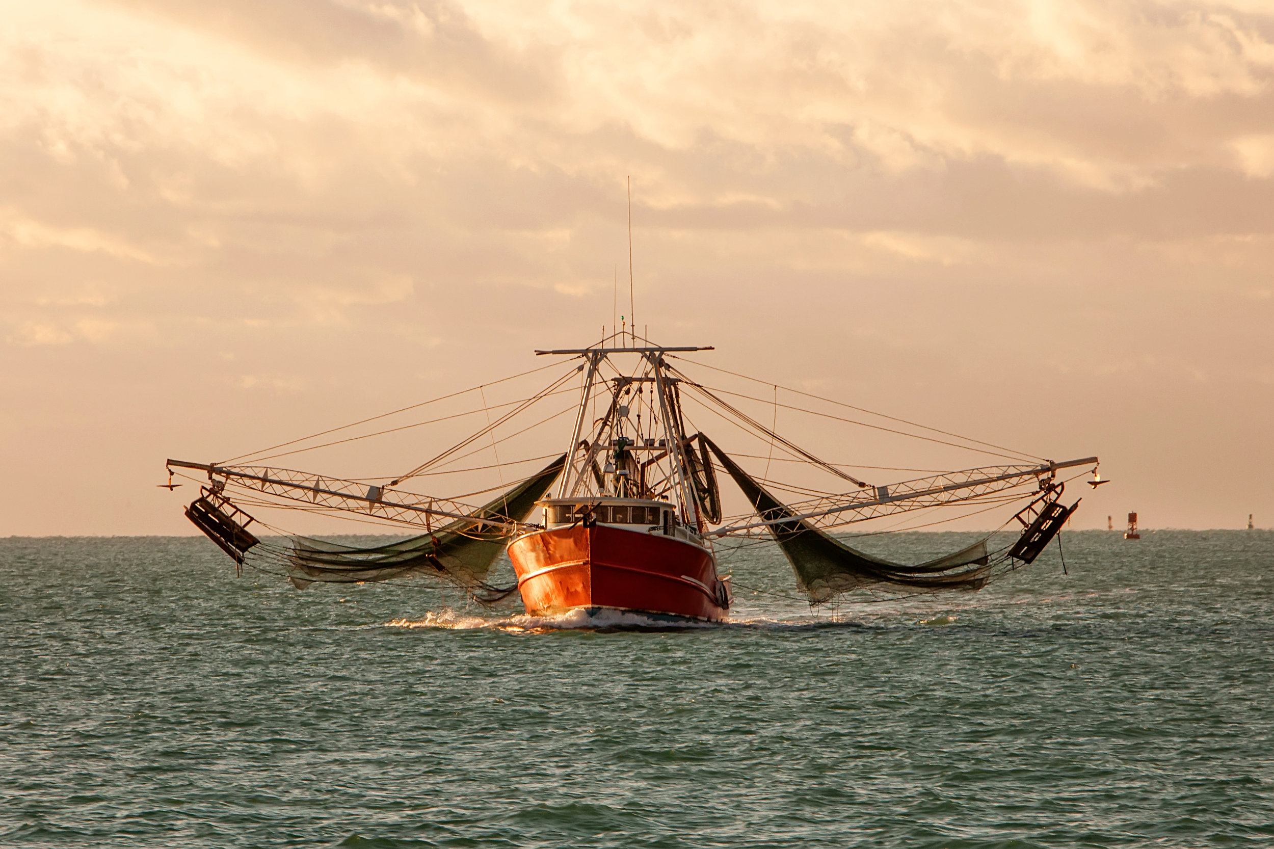 Shrimp Boat