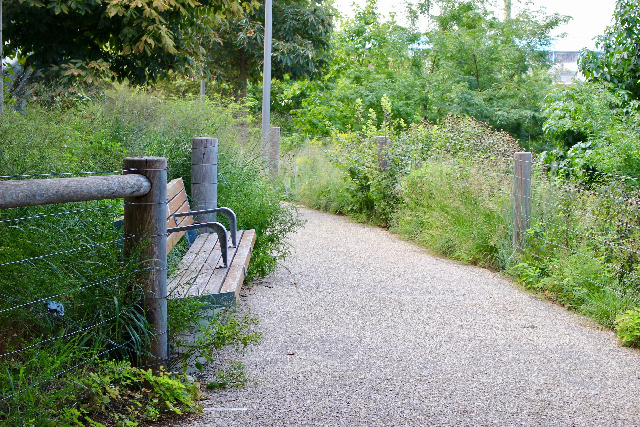 The bucolic, natural walking path through Brooklyn Bridge Park. Your energy drops and relaxes amidst these surroundings, and it's like, "Am I really in...Brooklyn?"