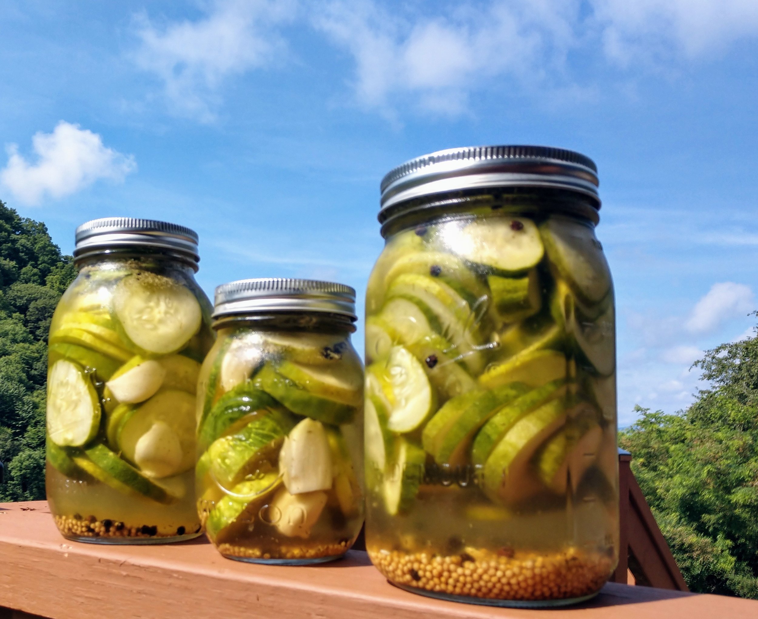 Refrigerator Pickles.jpg