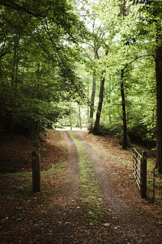 A road in Appalachia...