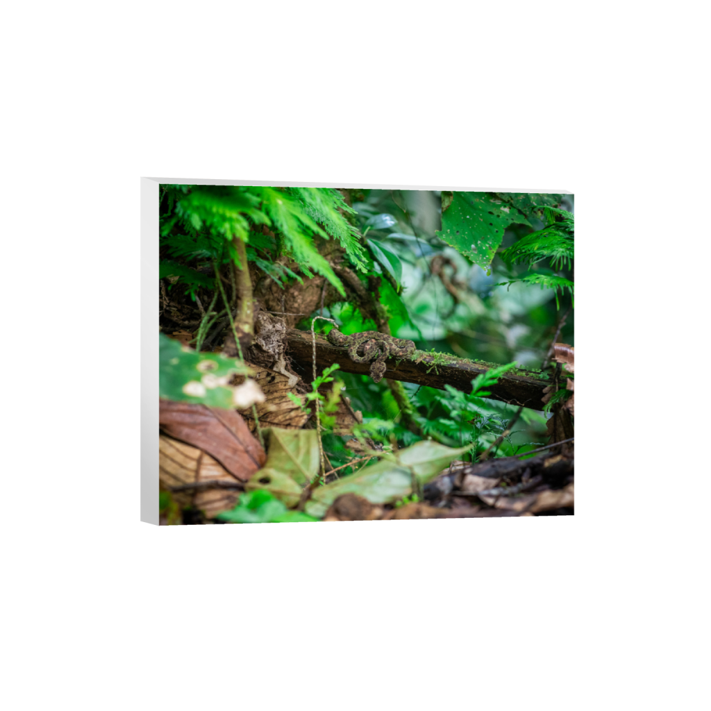 ptq_7_6_416_0_3681_2945_0_false_ffffff_0_0_.png