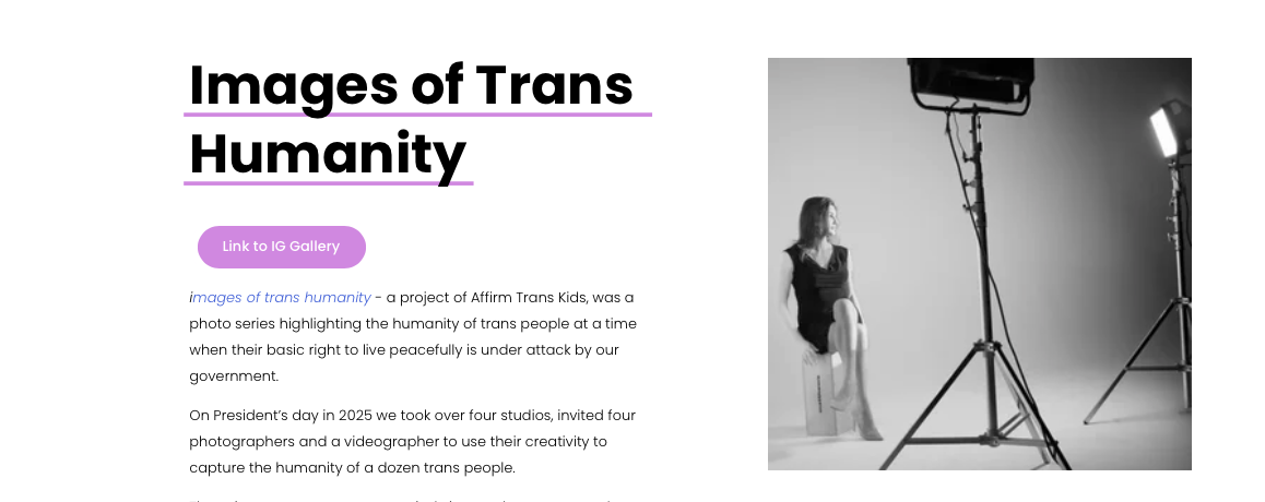 Images of Trans Humanity, 2025