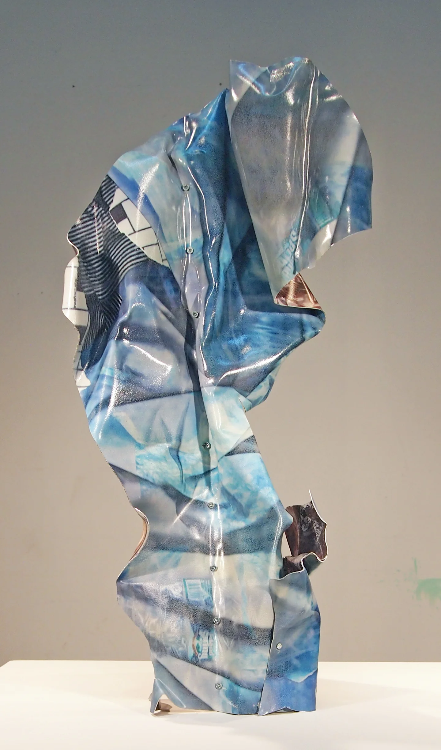 Stomacher