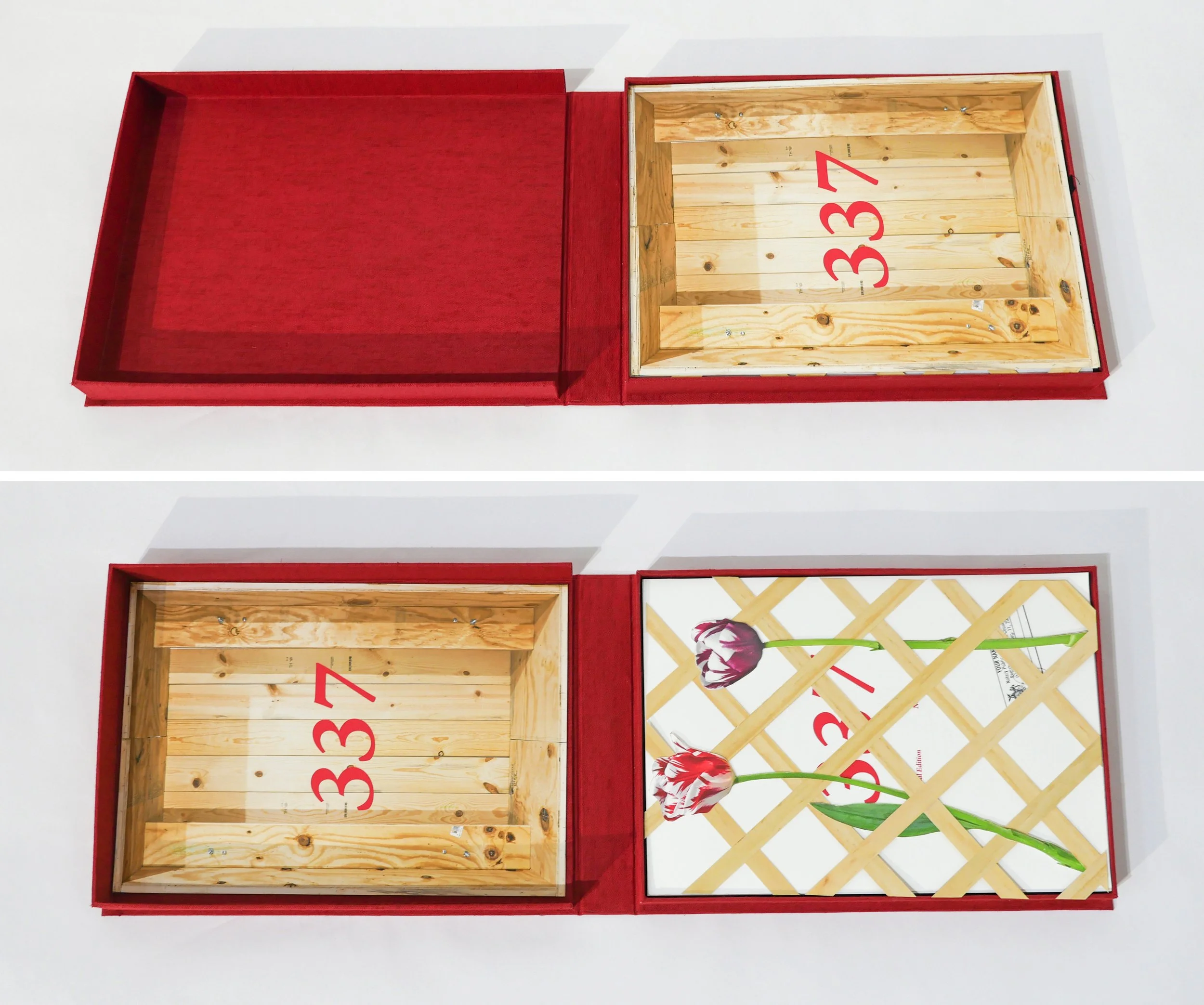 337 Open Clamshell 1.jpg