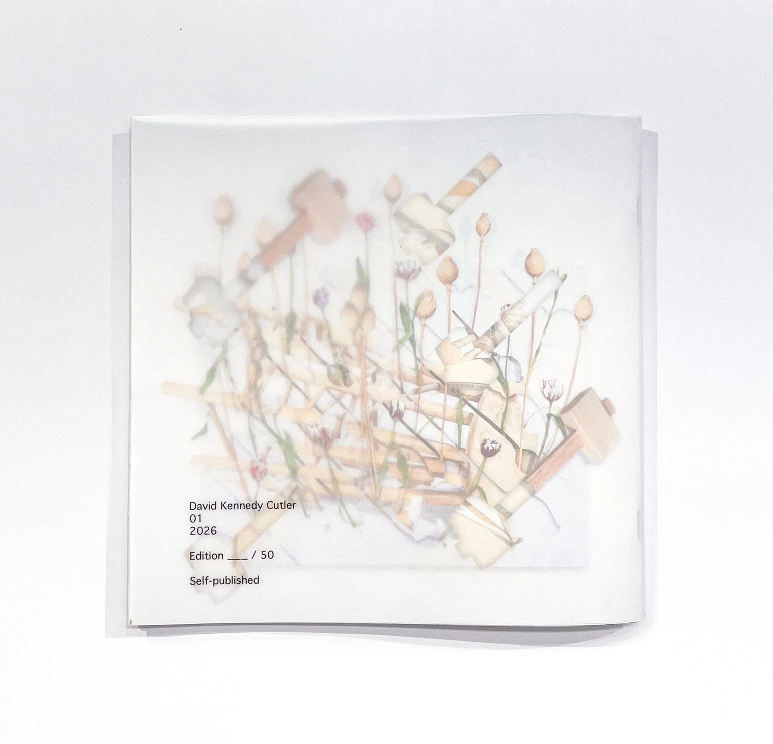 DKC 01 BACK COVER.jpg