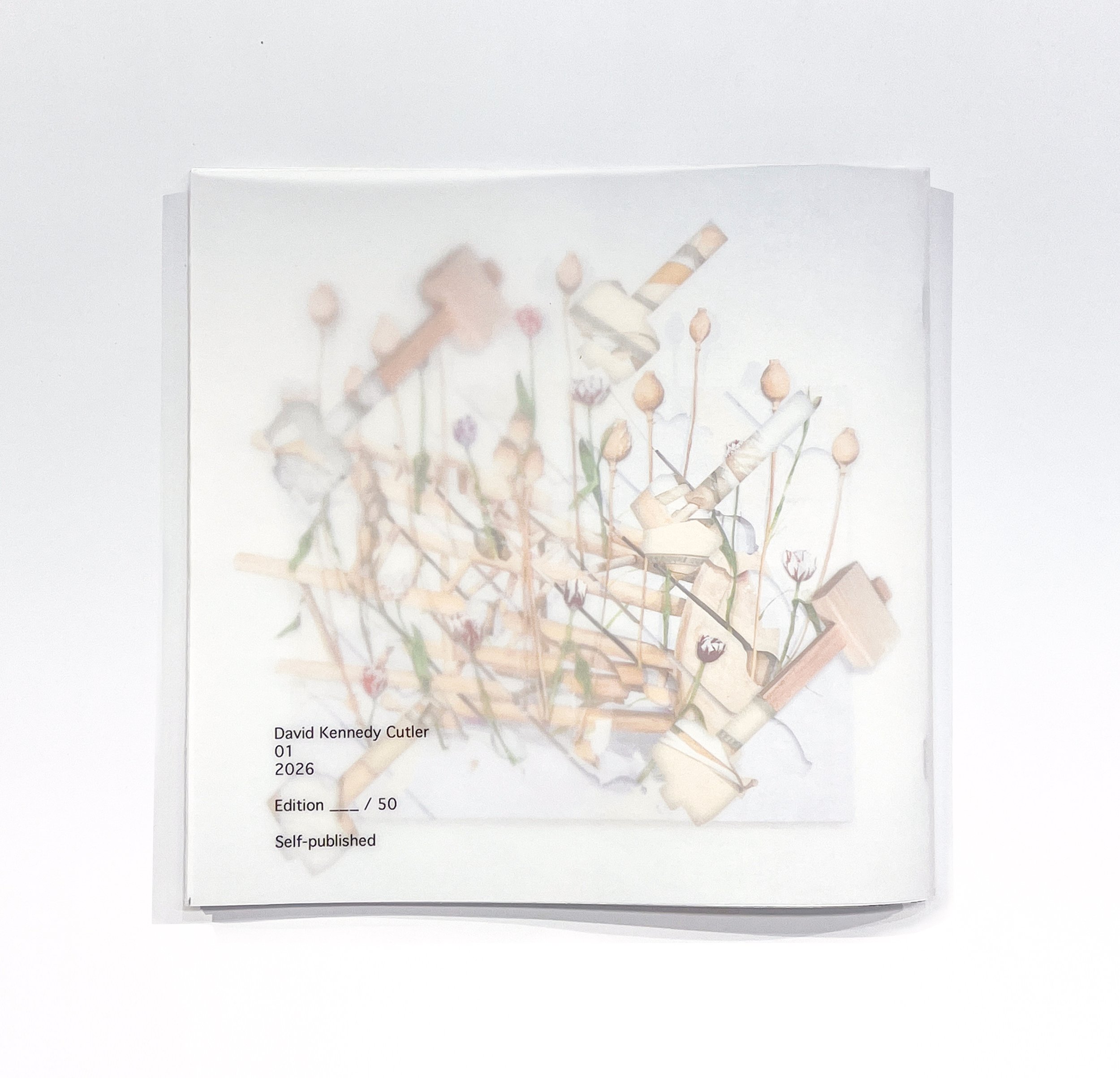 DKC 01 BACK COVER.jpg