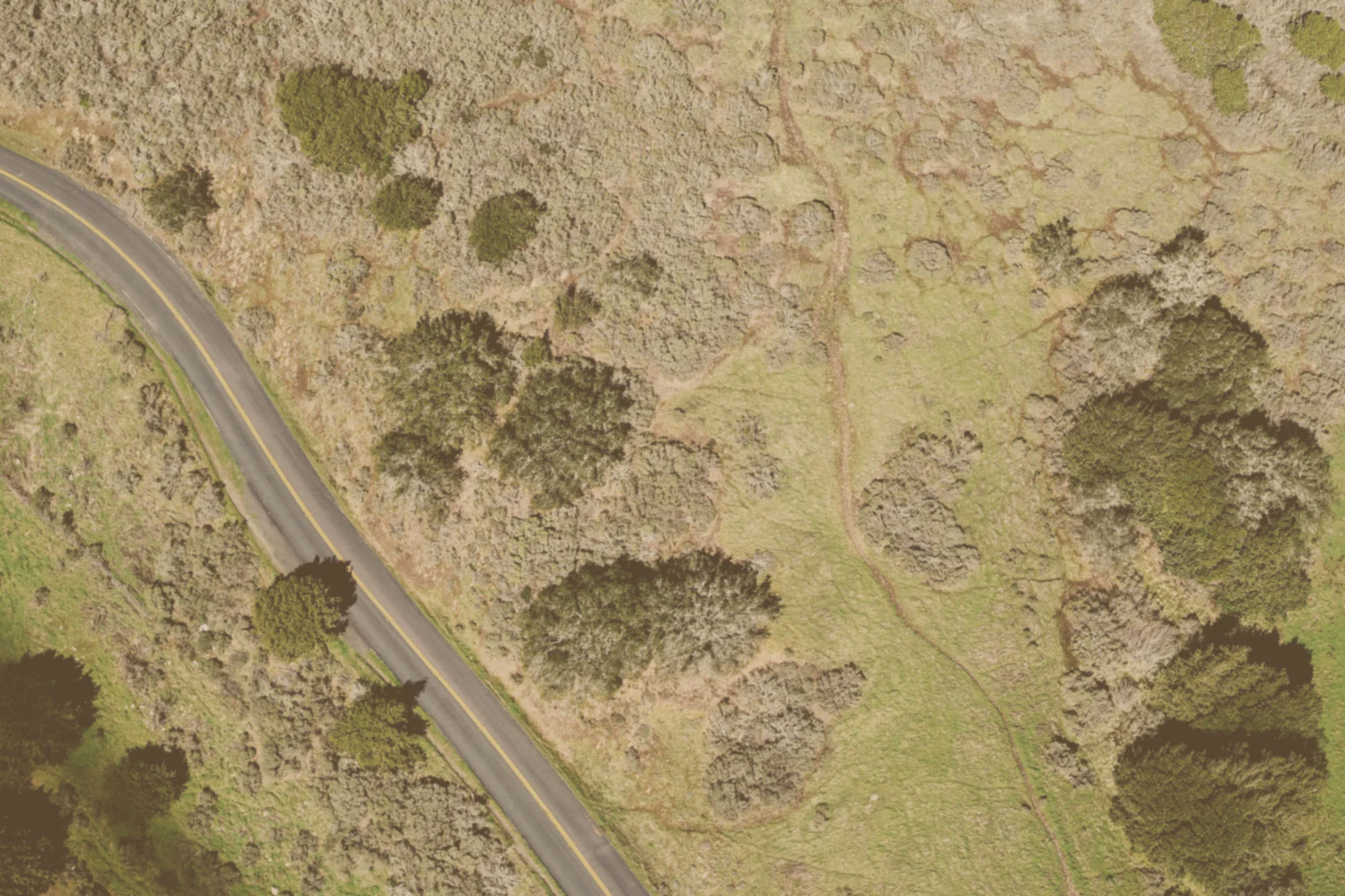 land-aerial-web-2.jpg