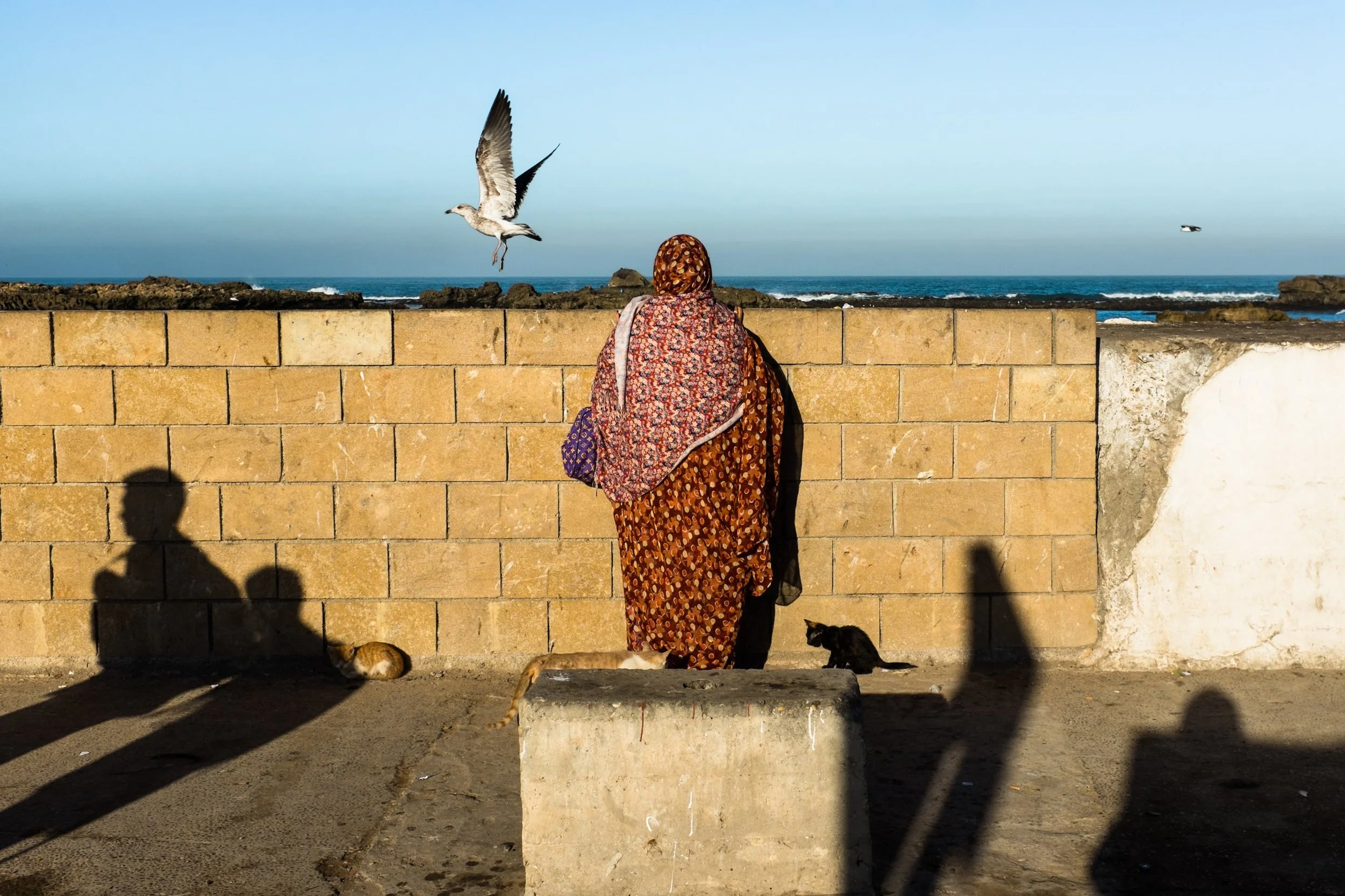  Essaouira 