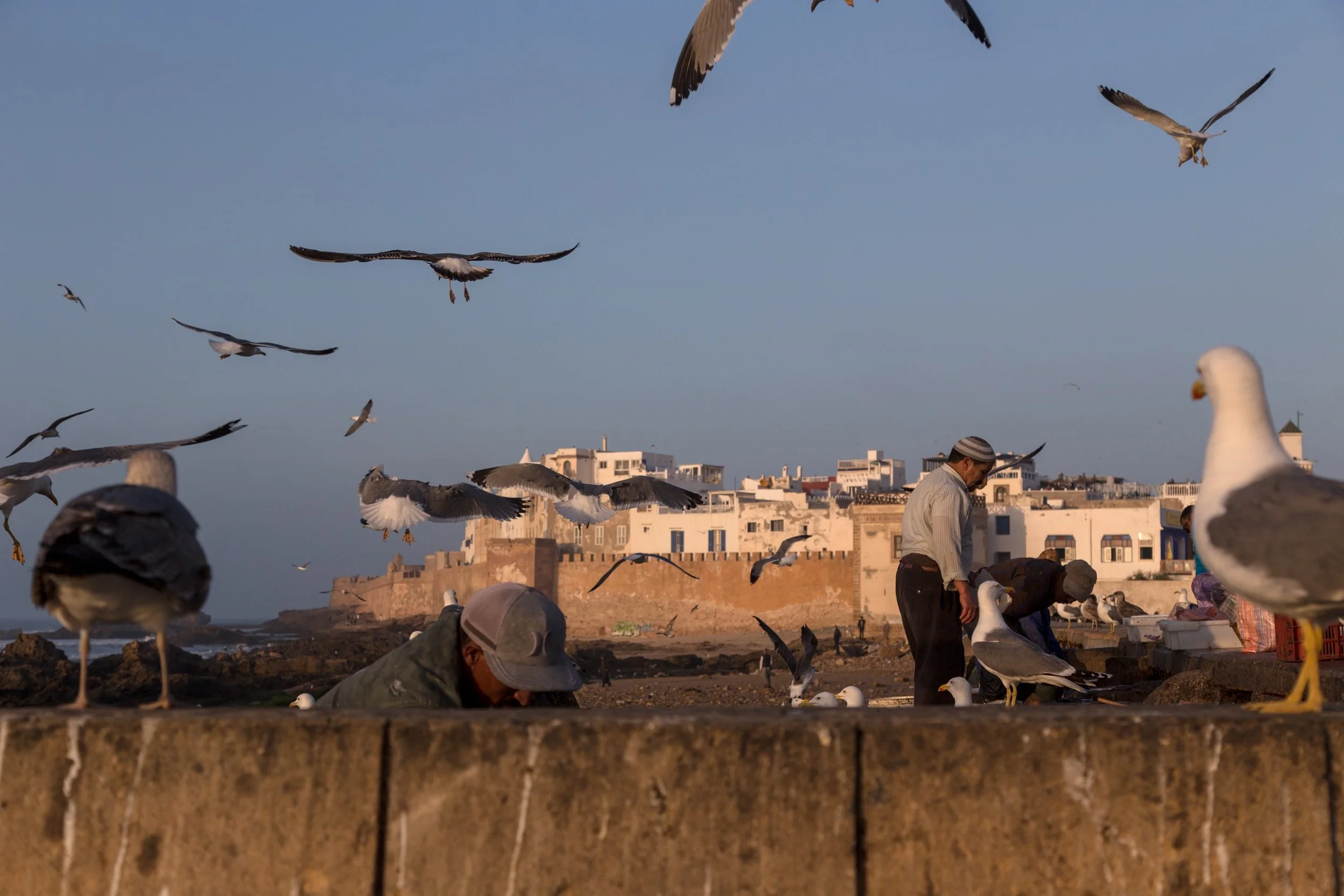 Essaouira 