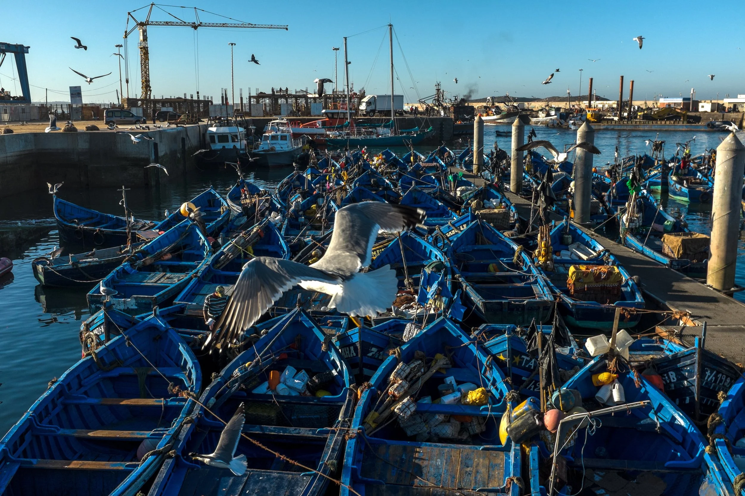  Essaouira 