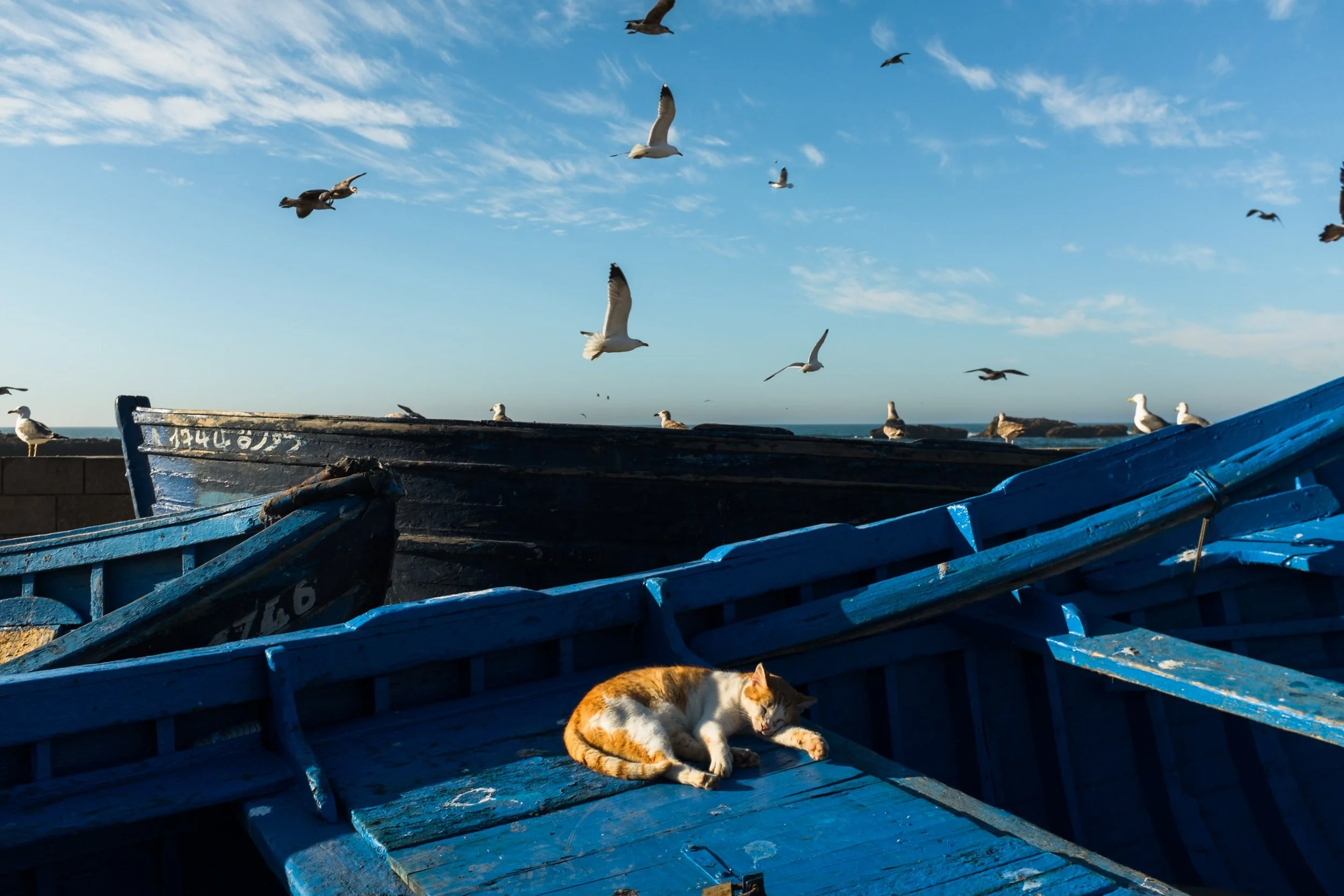  Essaouira 