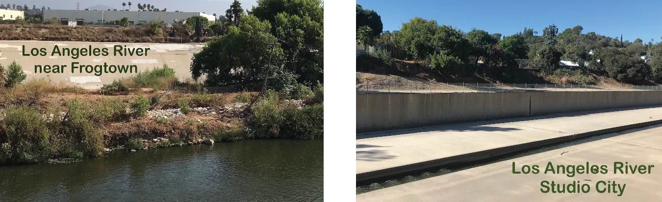 LARiverMontage.jpg