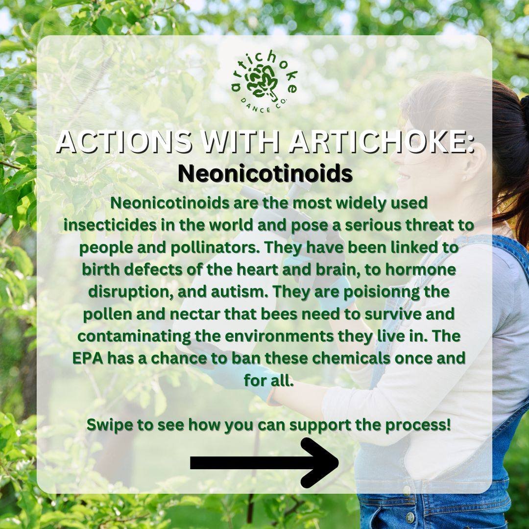 We're back with another #ActionsWithArtichoke 🌎 Learn more about the harmful effects of Neonicotinoids and then swipe ➡️ to the next slide to see how you can take action.

🌱 Neonicotinoids are the most widely used insecticides in the world and pose