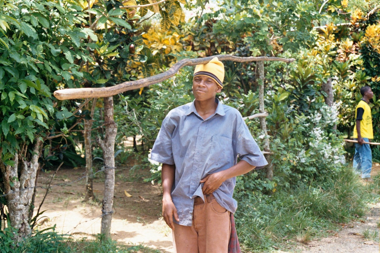 I never really got the story about the branch on the head. I think he used it to pick fruit.