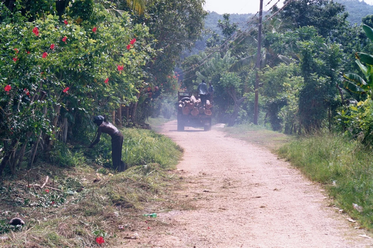 Working hard on the dusty road.