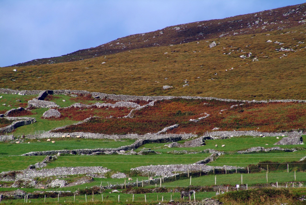Just like castles and high crosses, stone walls are everywhere. 