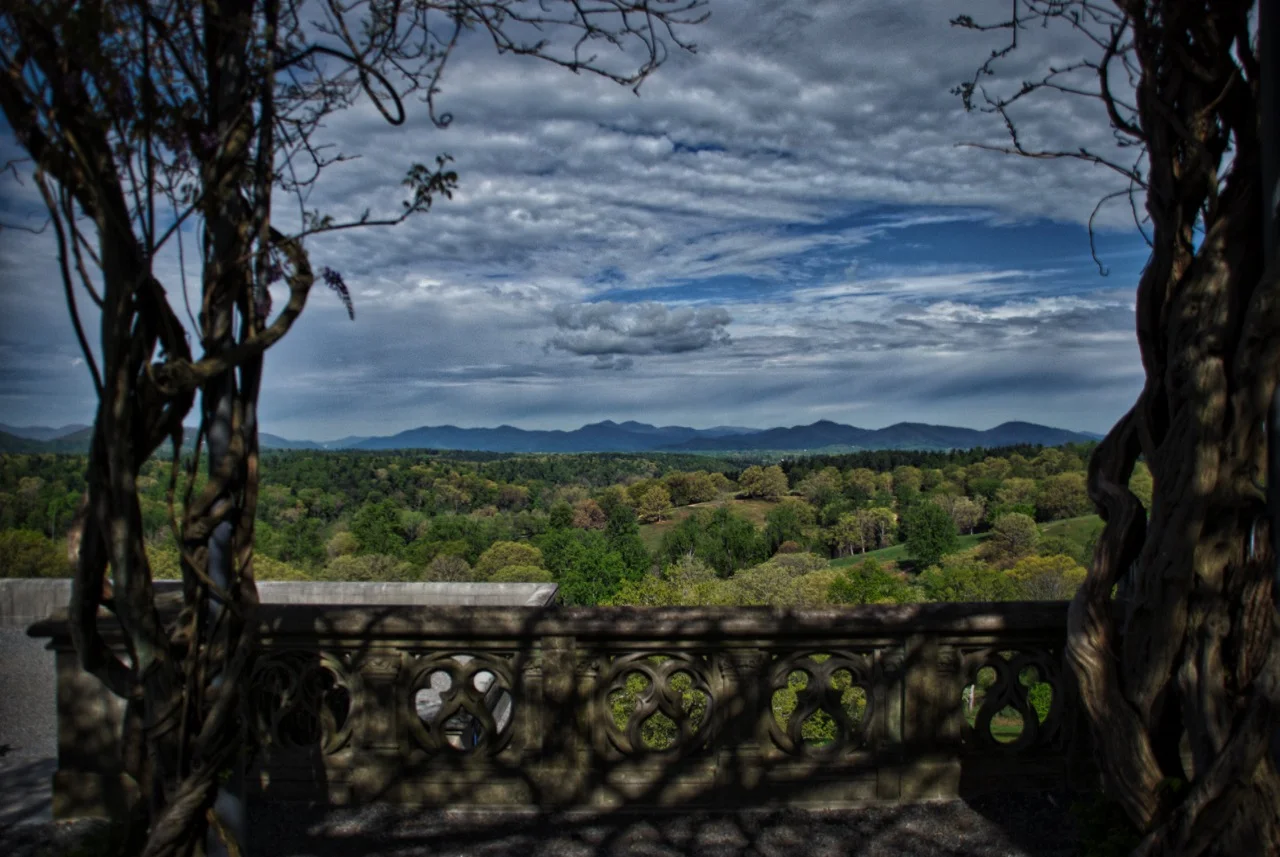 View from the wisteria portico