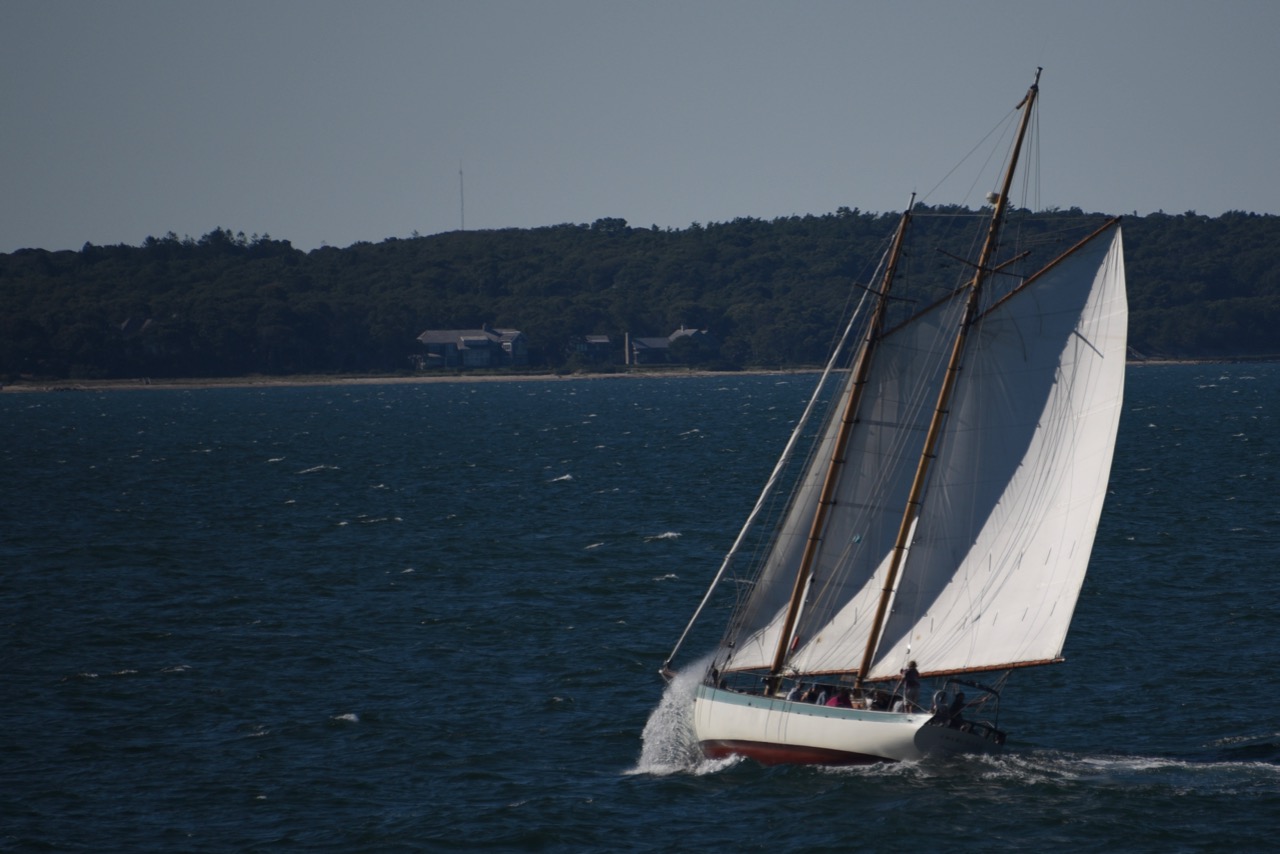 Sailboat taken from the Vineyard Haven ferry 2016