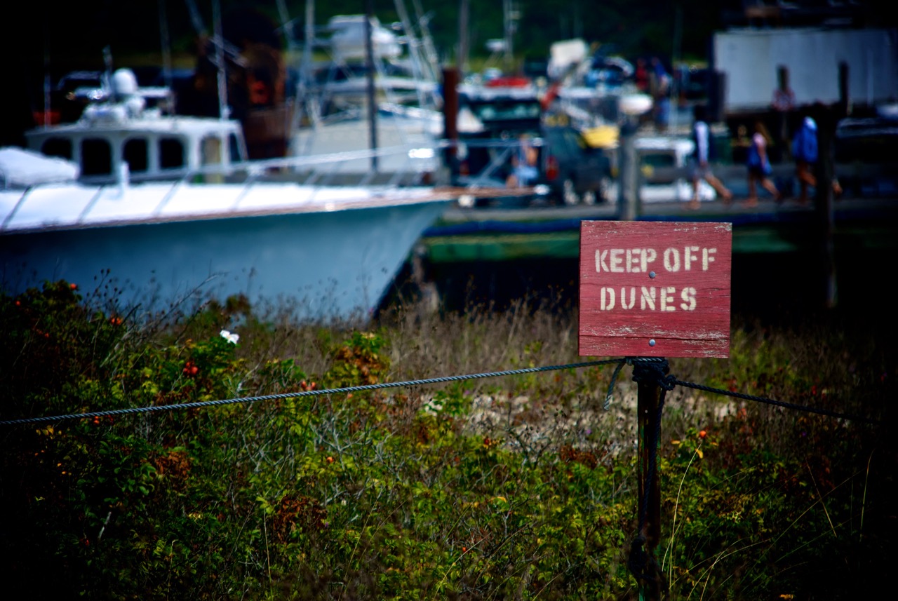 Menemsha Pond 2013