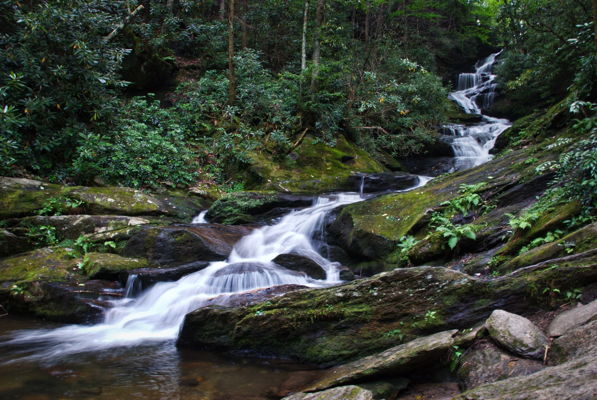 Roaring Fork Creek Falls