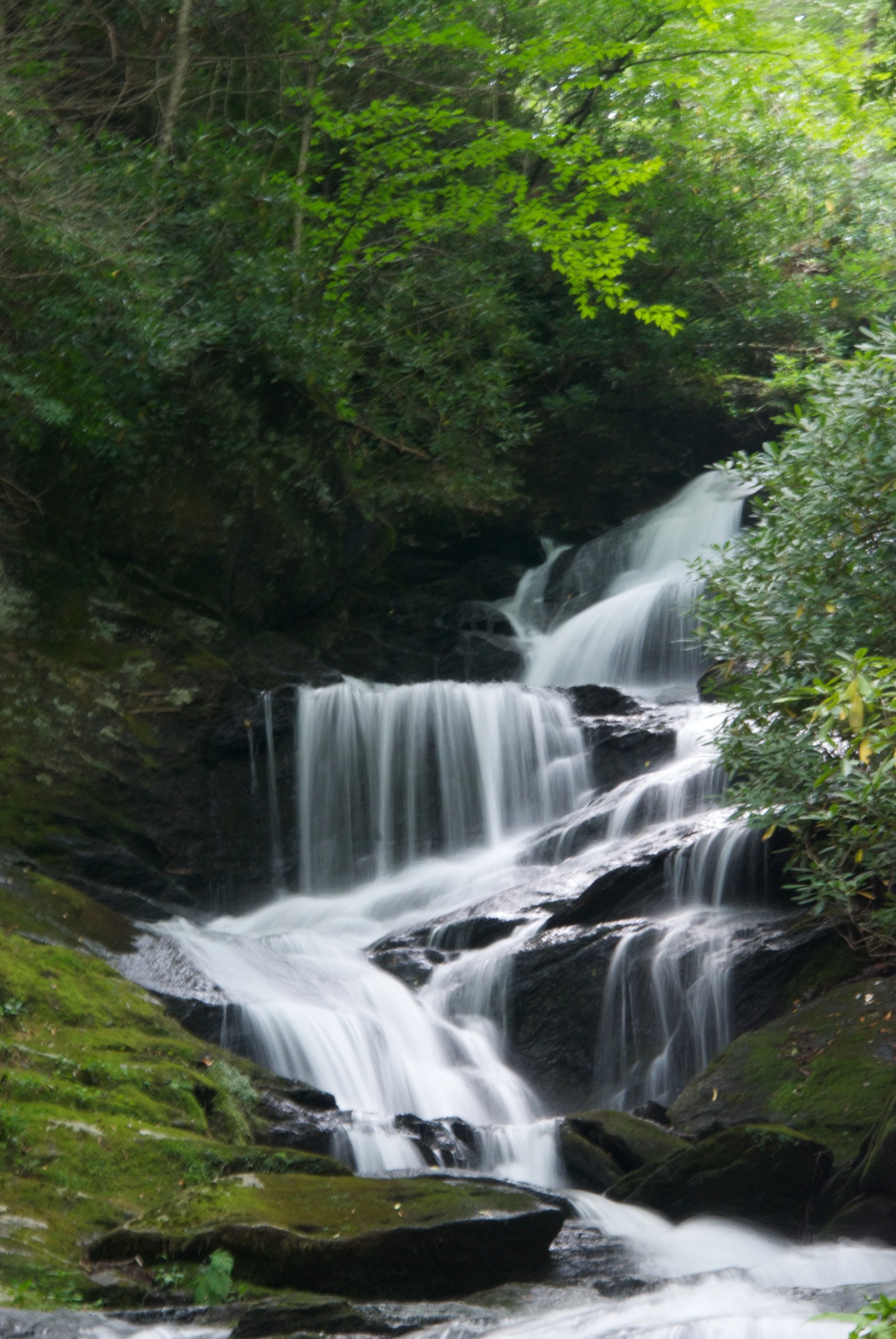 DSC_6931.jpg