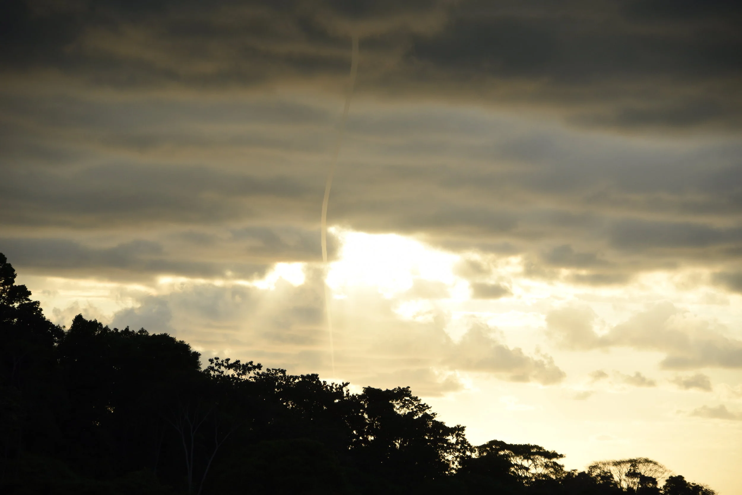DSC_9190.jpg