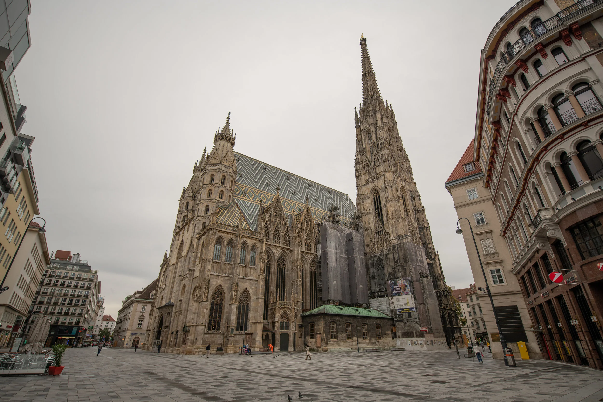 DSC_0951.jpg
