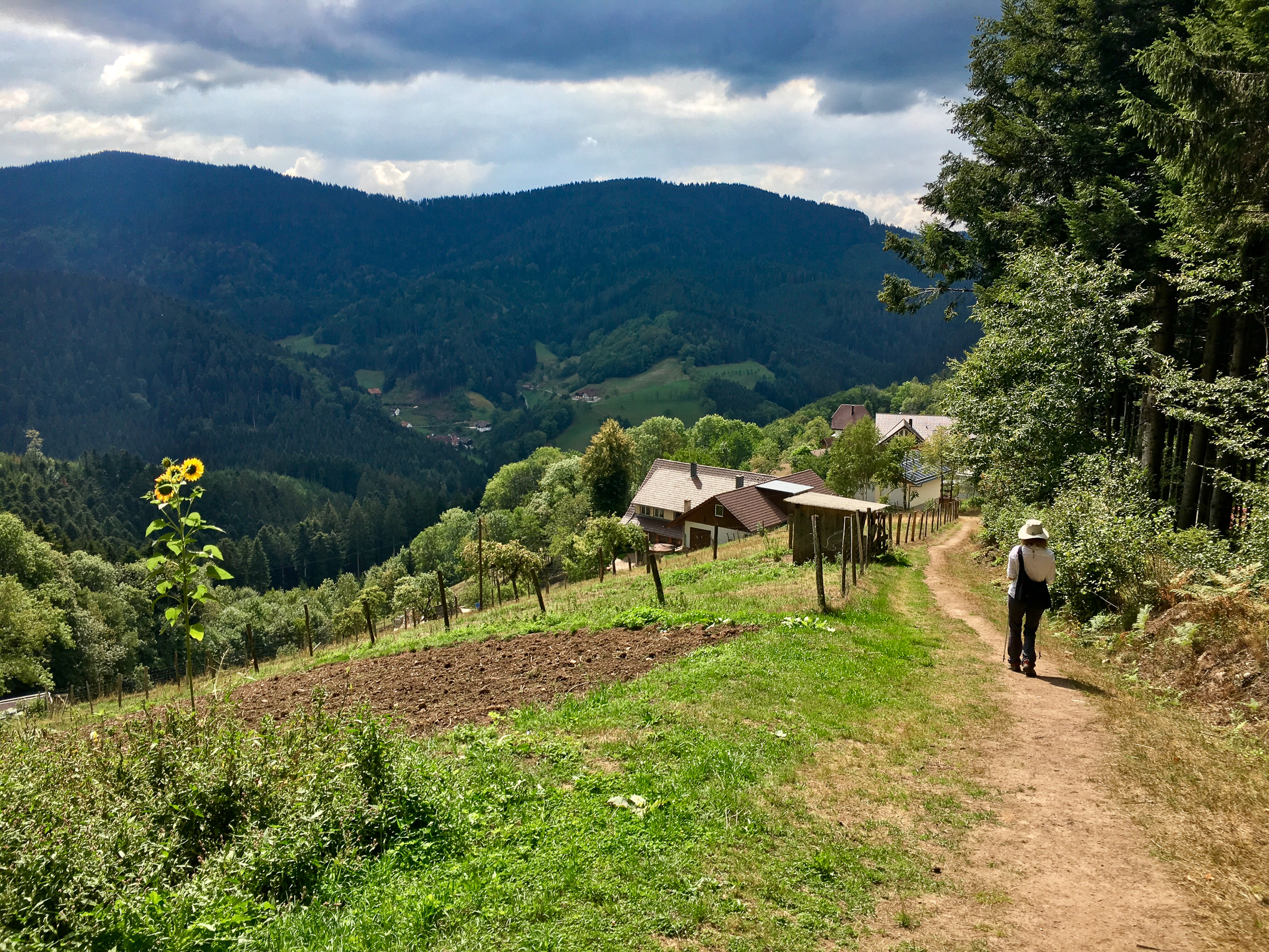 Melissa hiking
