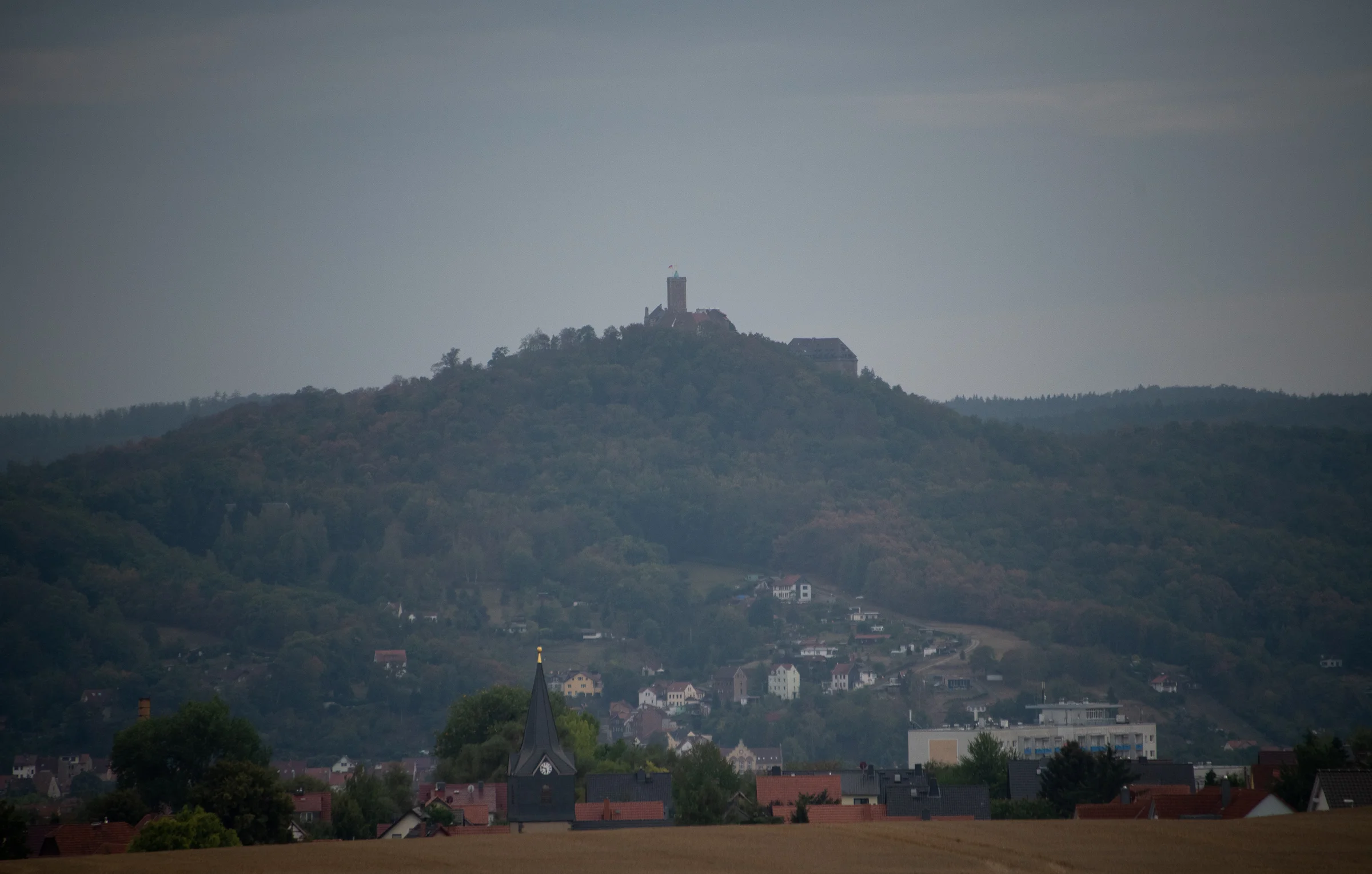 DSC_2411.jpg