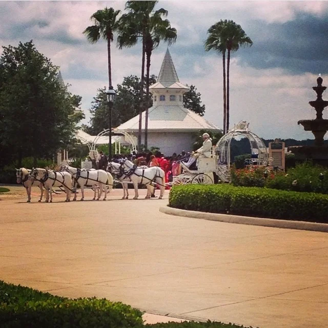 Disney Wedding