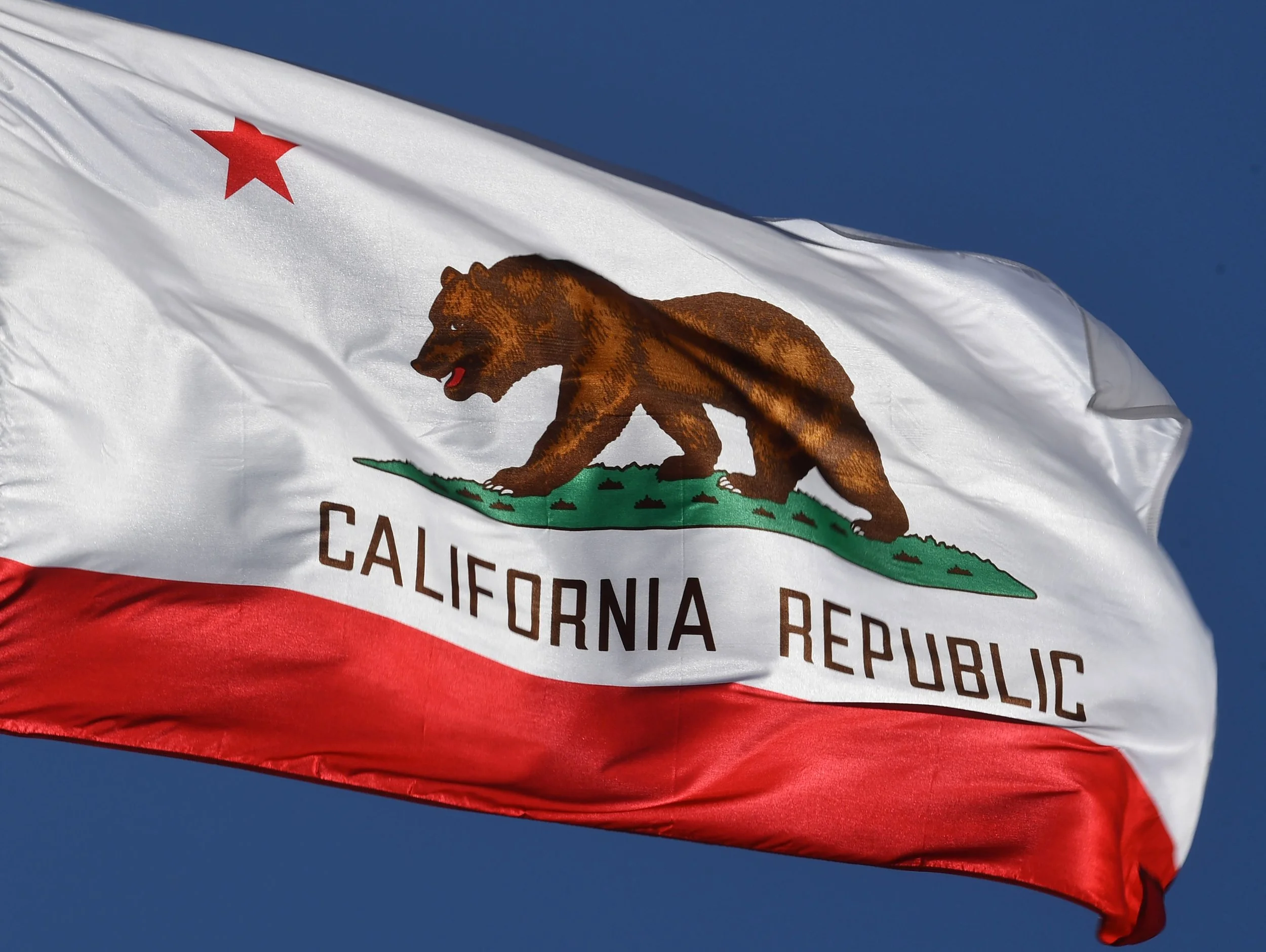 California Primary Election Day