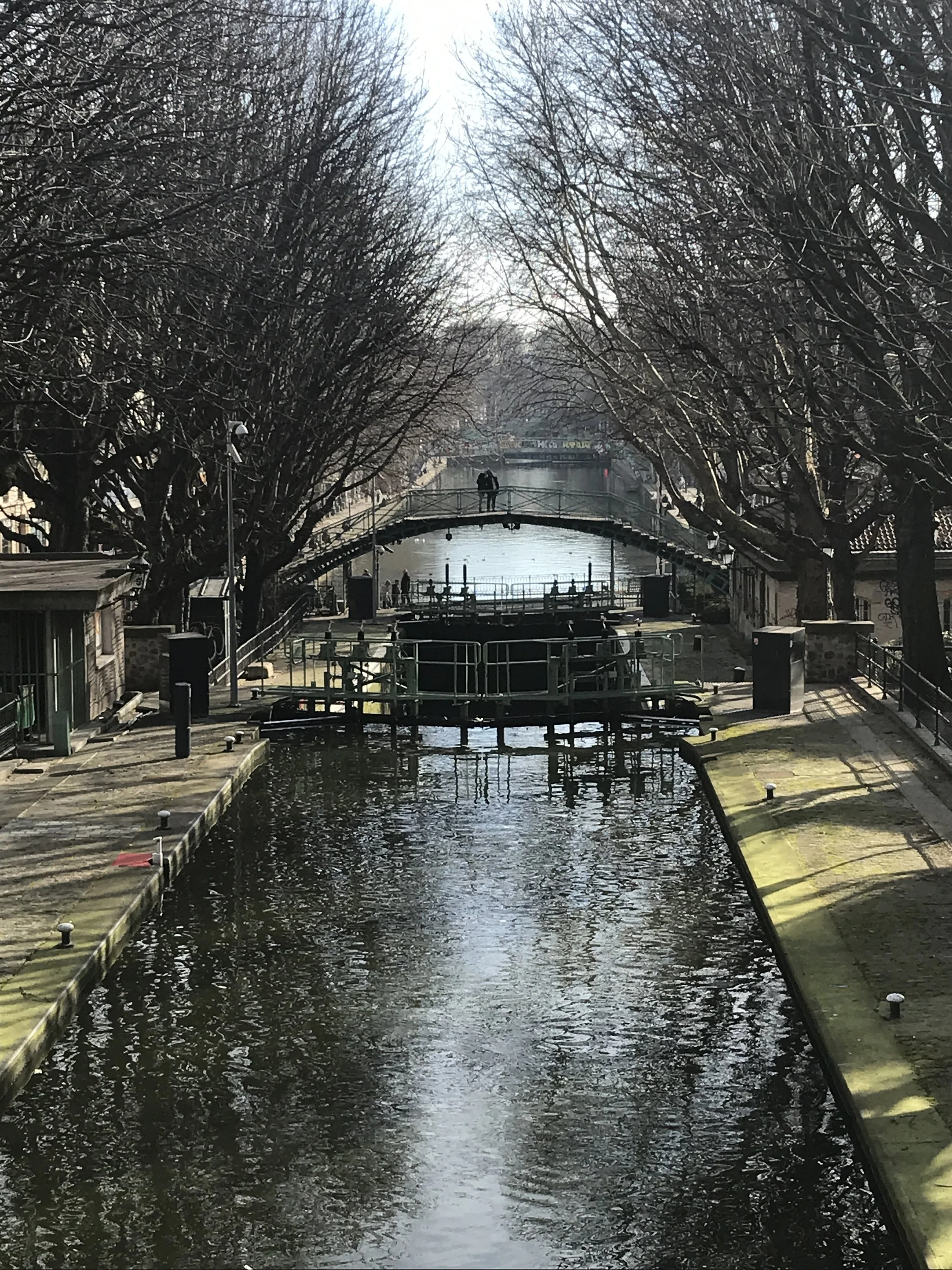 IMG_6601.jpeg