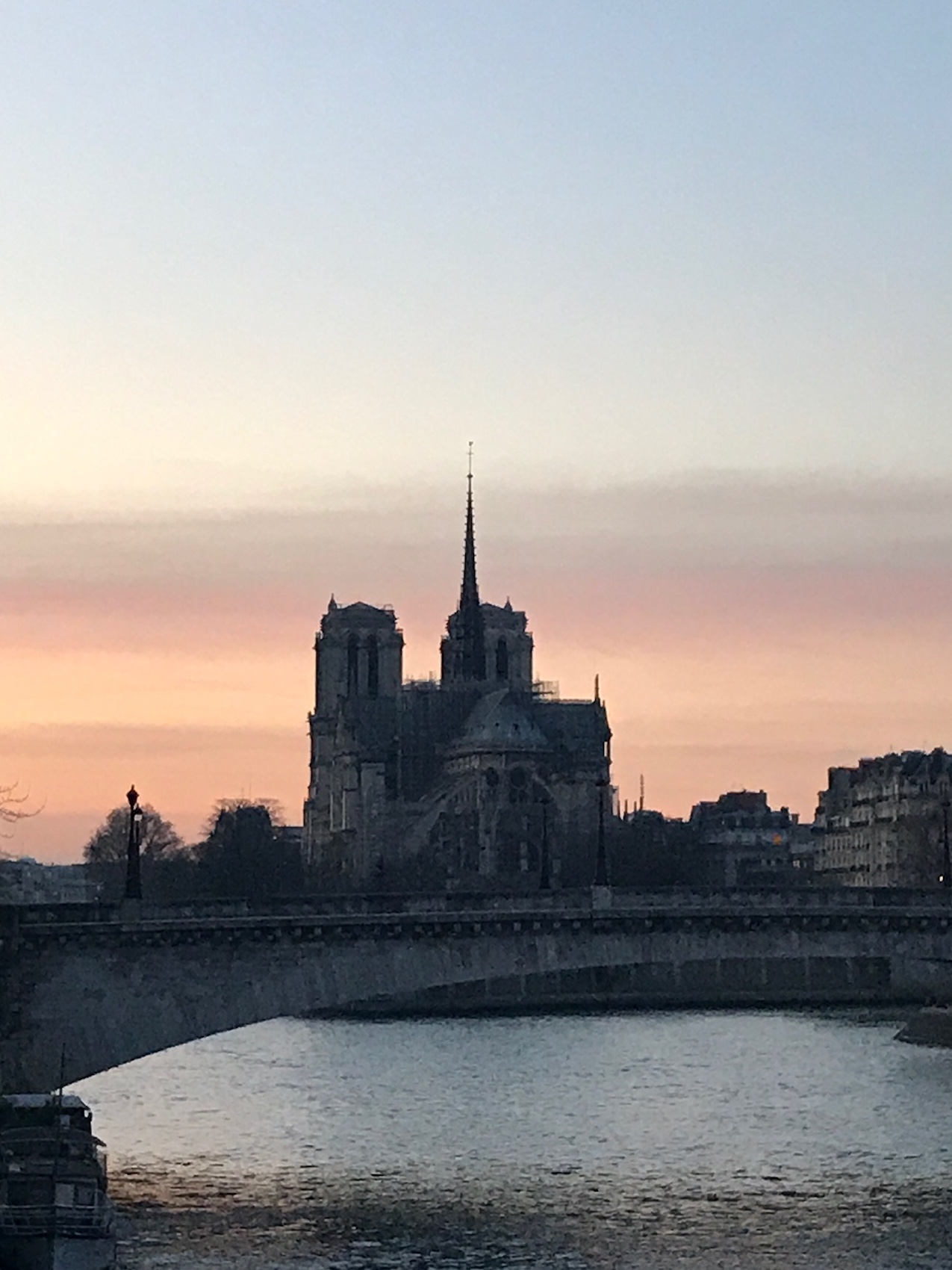 IMG_2057.jpeg