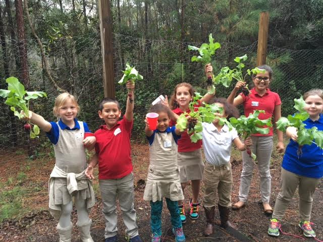 Garden Club 4.png