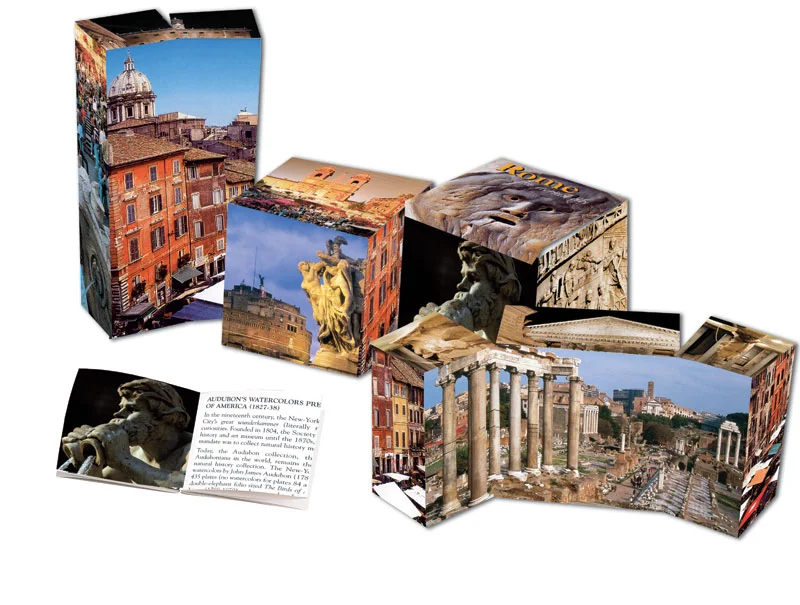 mccr1_composition_roma.jpg