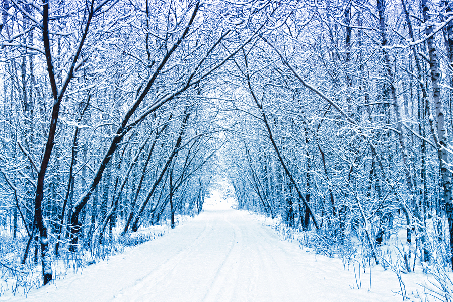 Acupuncture for Seasonal Affective Disorder