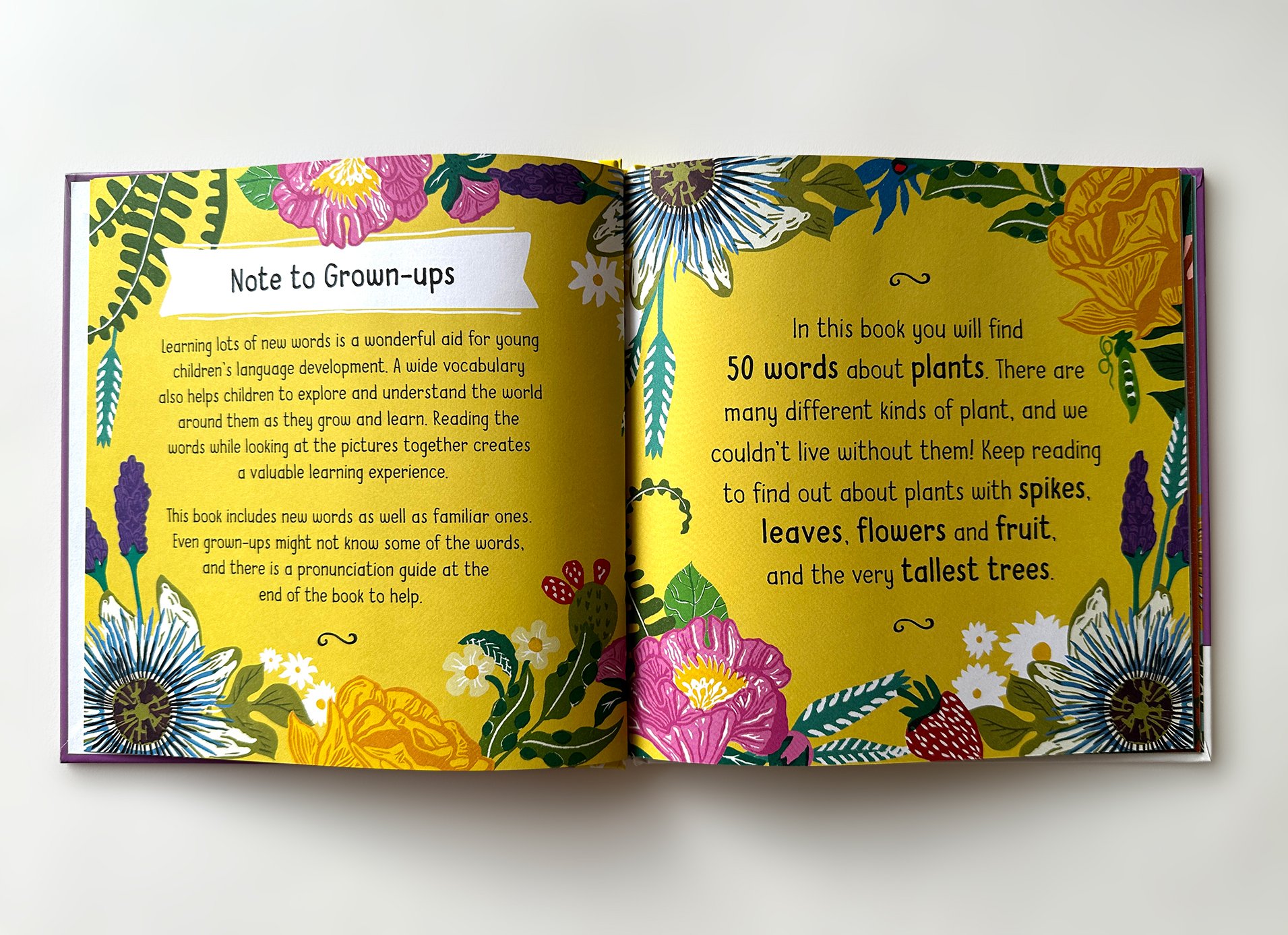 Raspberry Books spread 1.jpg