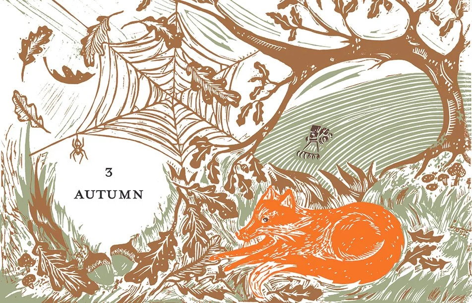 Autumn 1.jpg