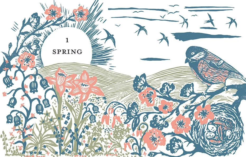 spring opener 1.jpg