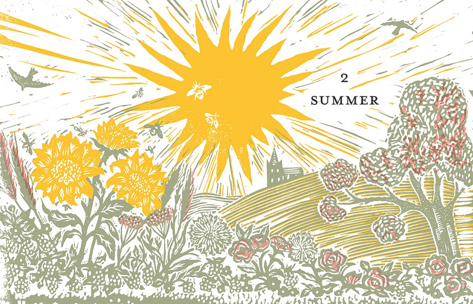 Summer opener 3.jpg
