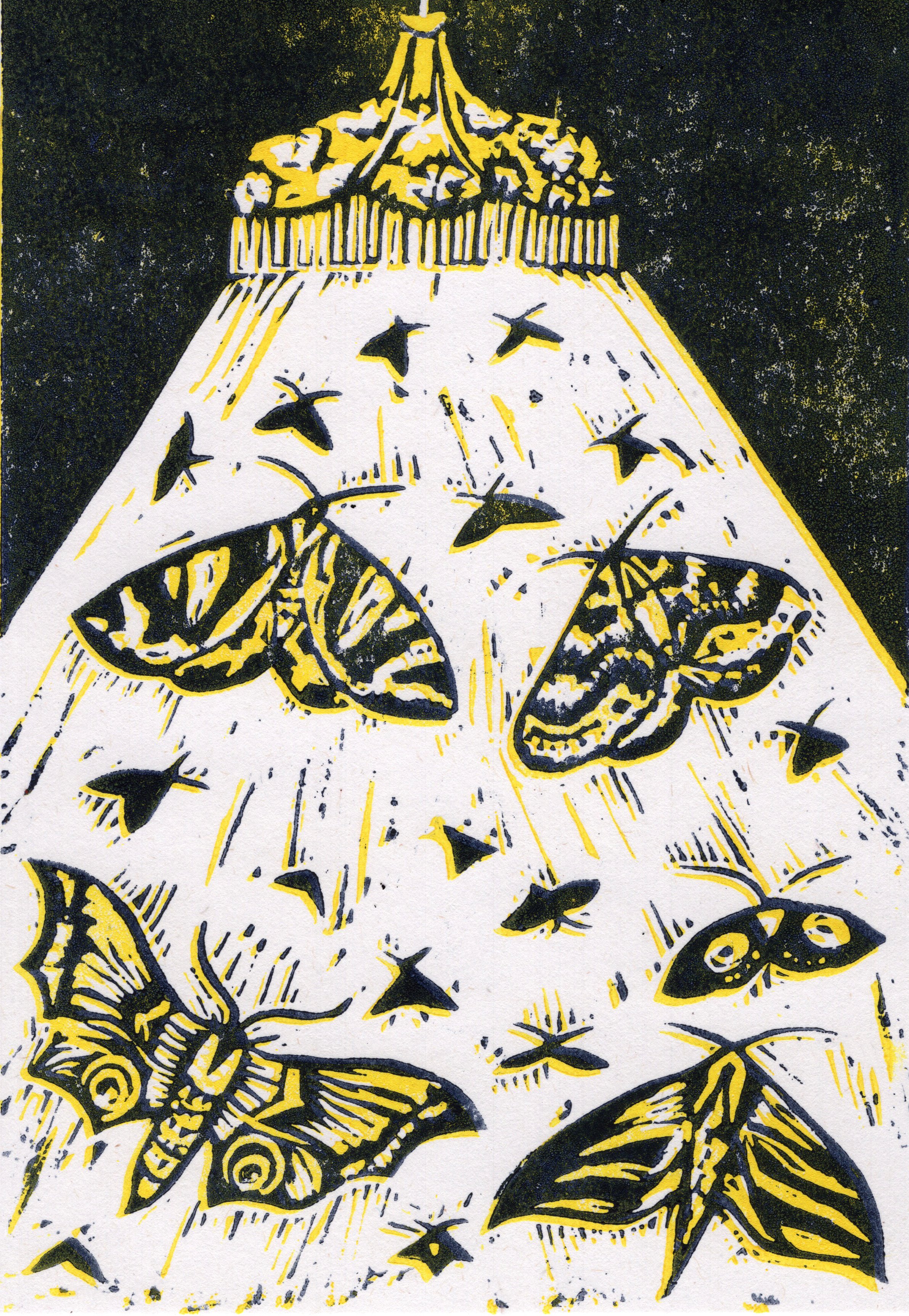 moths linocut 1.jpeg