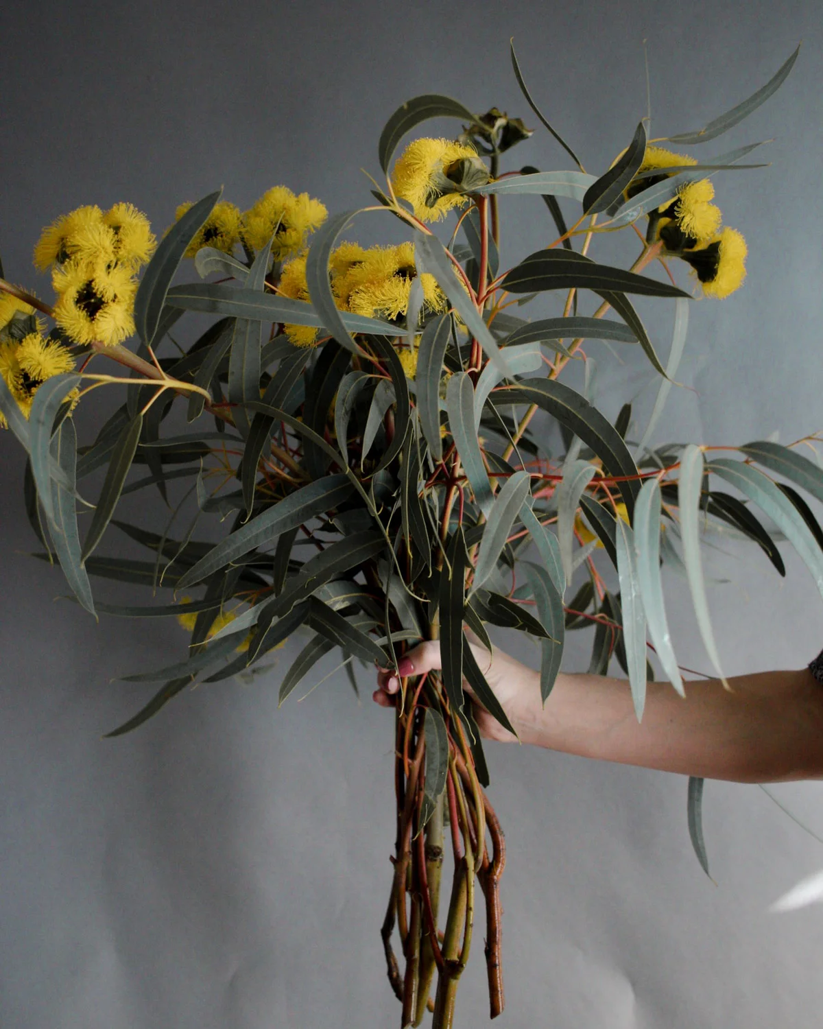 Muted Color - Yellow Bouquet- Forage Ojai.jpg