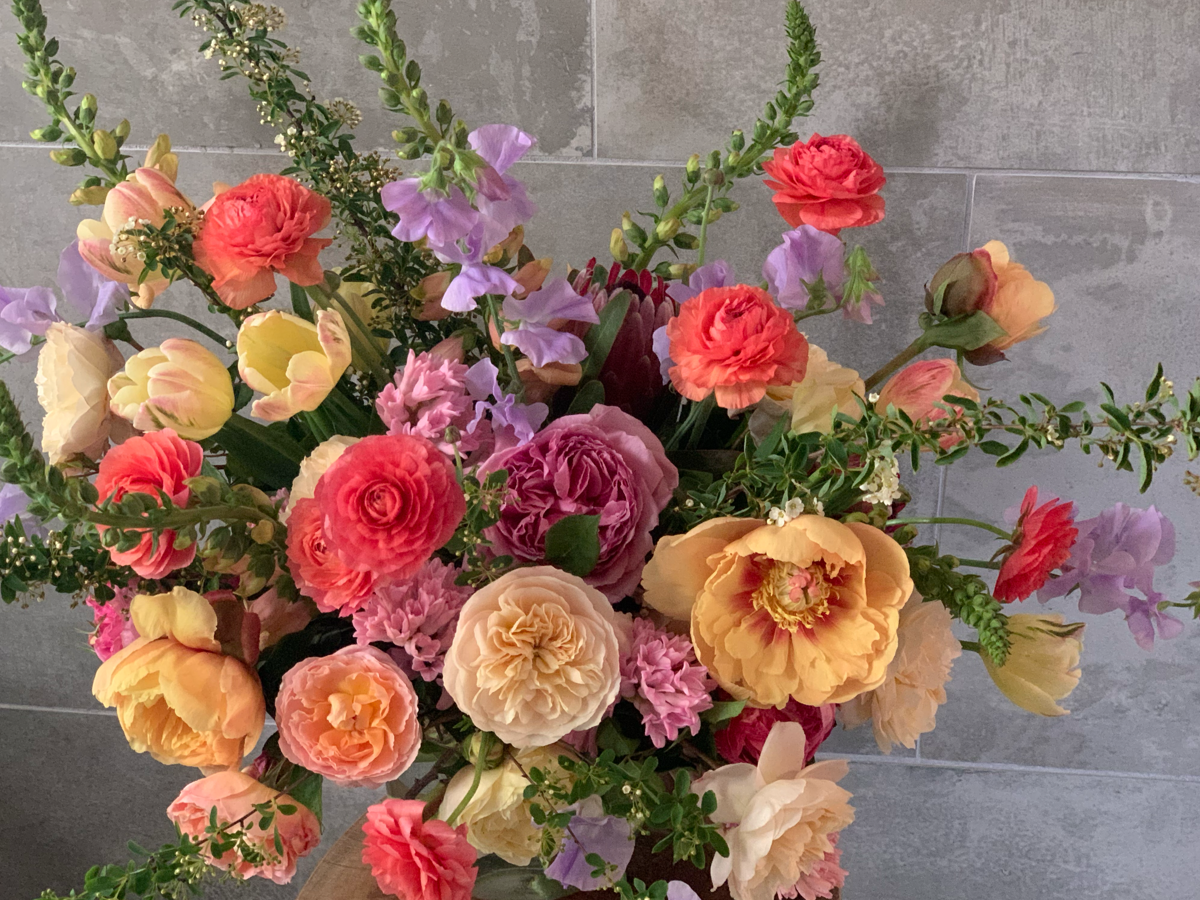 Screenshot 2026-04-08 at 1.09.26 PM.png (Copy)