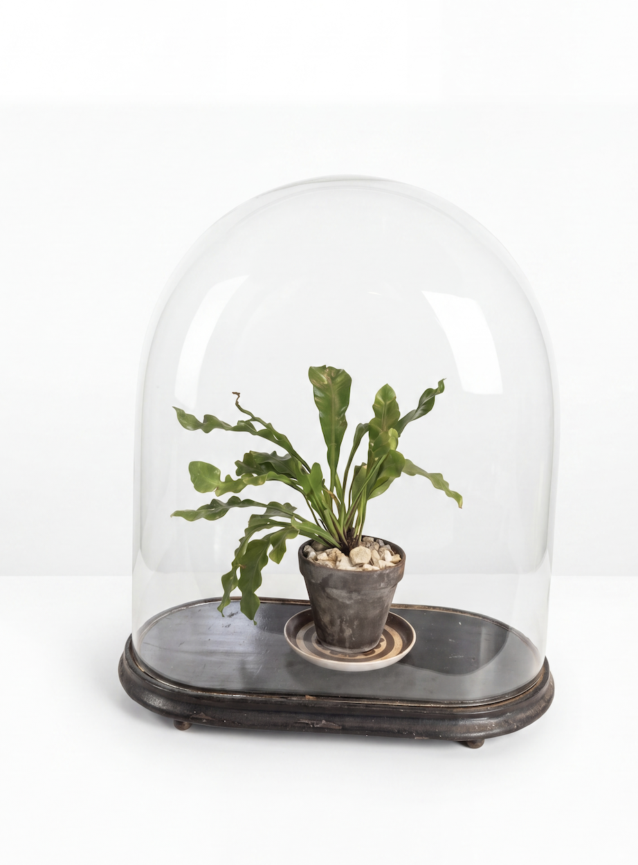 French Terrarium