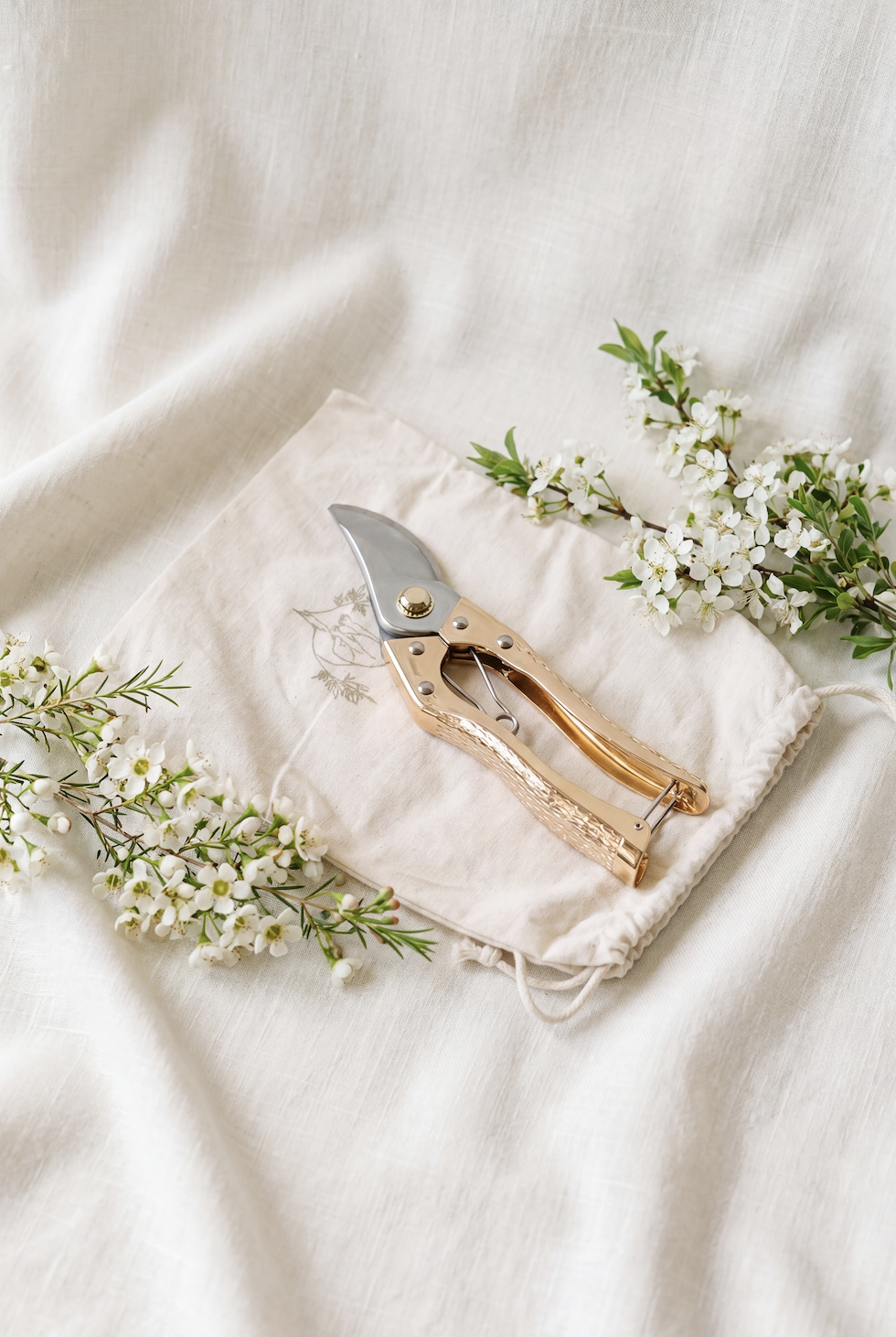 Brass Shears