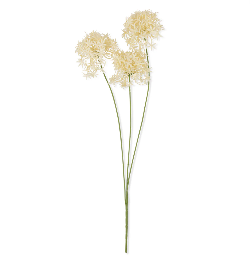 Screenshot 2025-11-26 at 10.25.57 AM.PNG