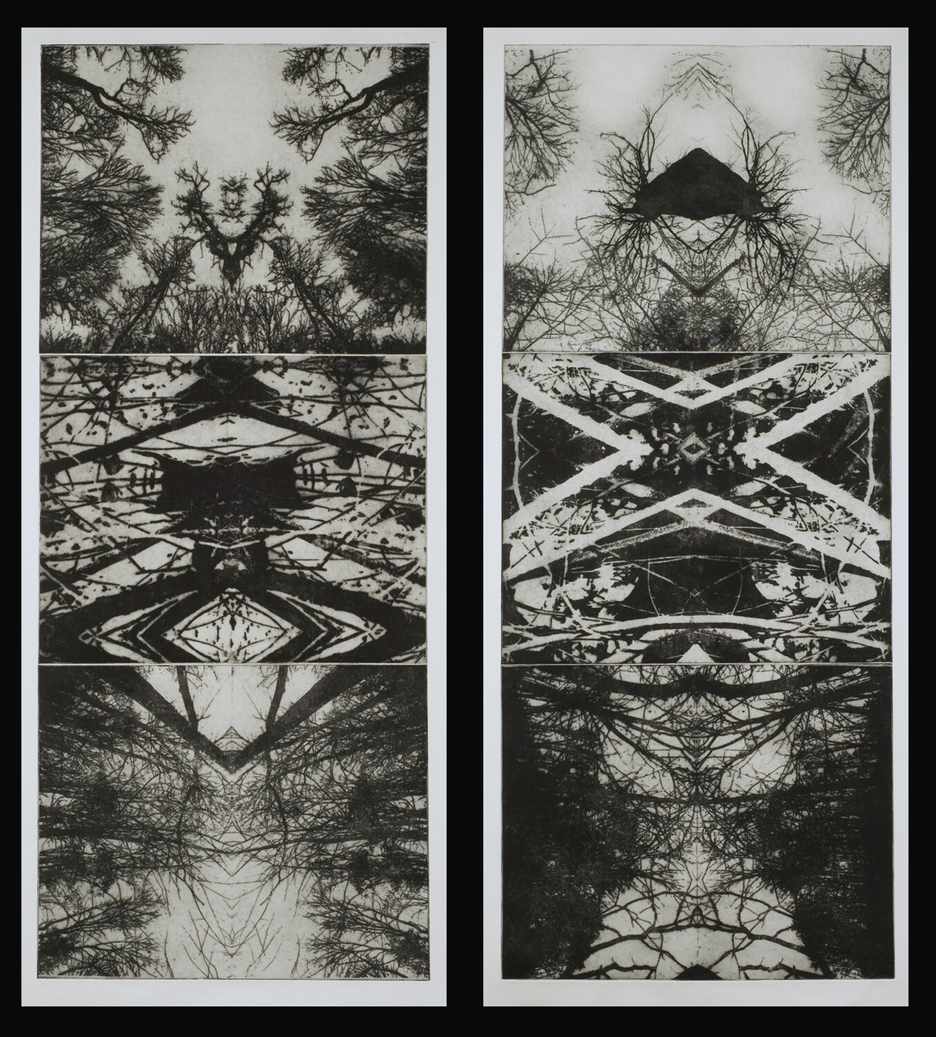 Elemental Symmetry (diptych)