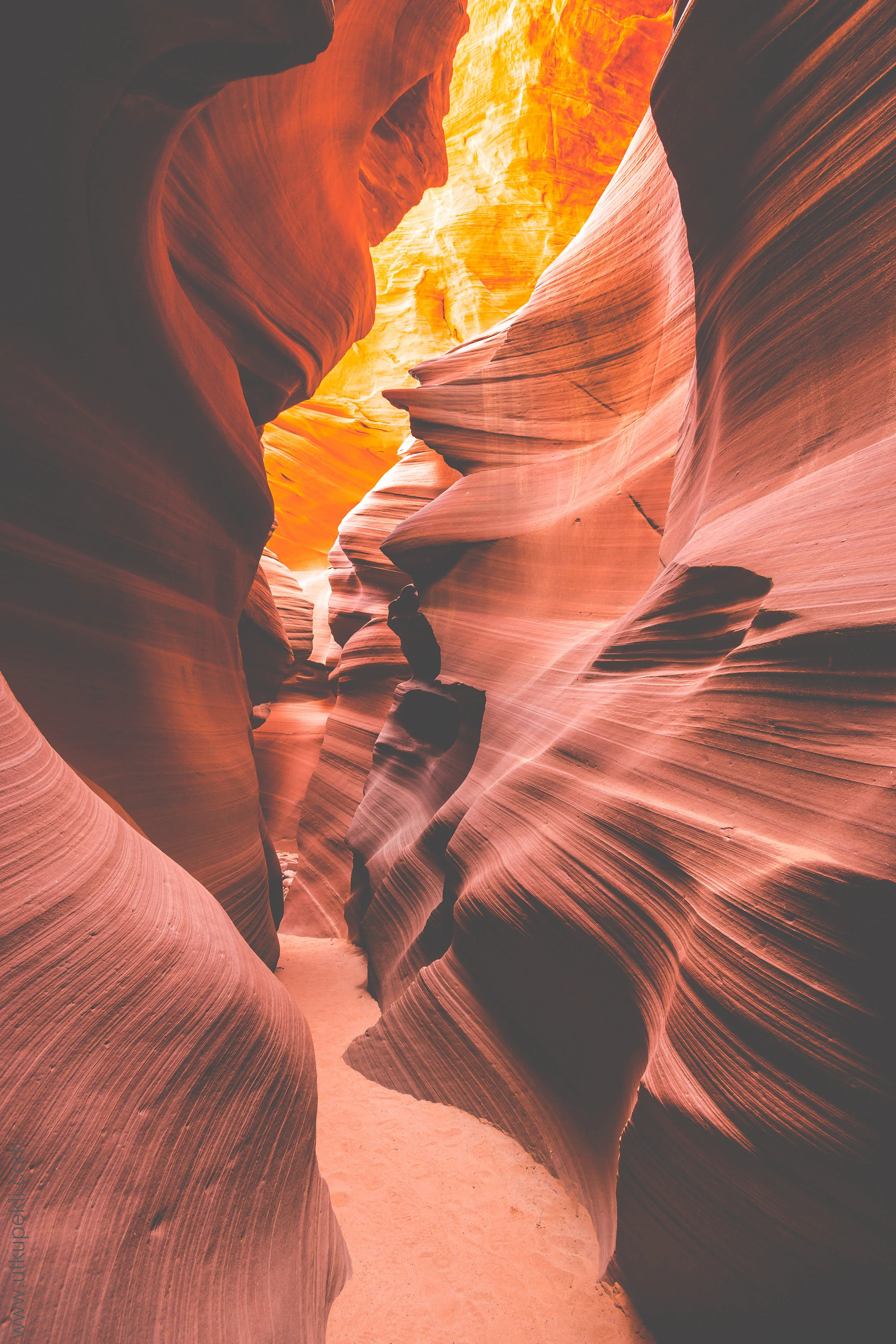 canyon (4).jpg