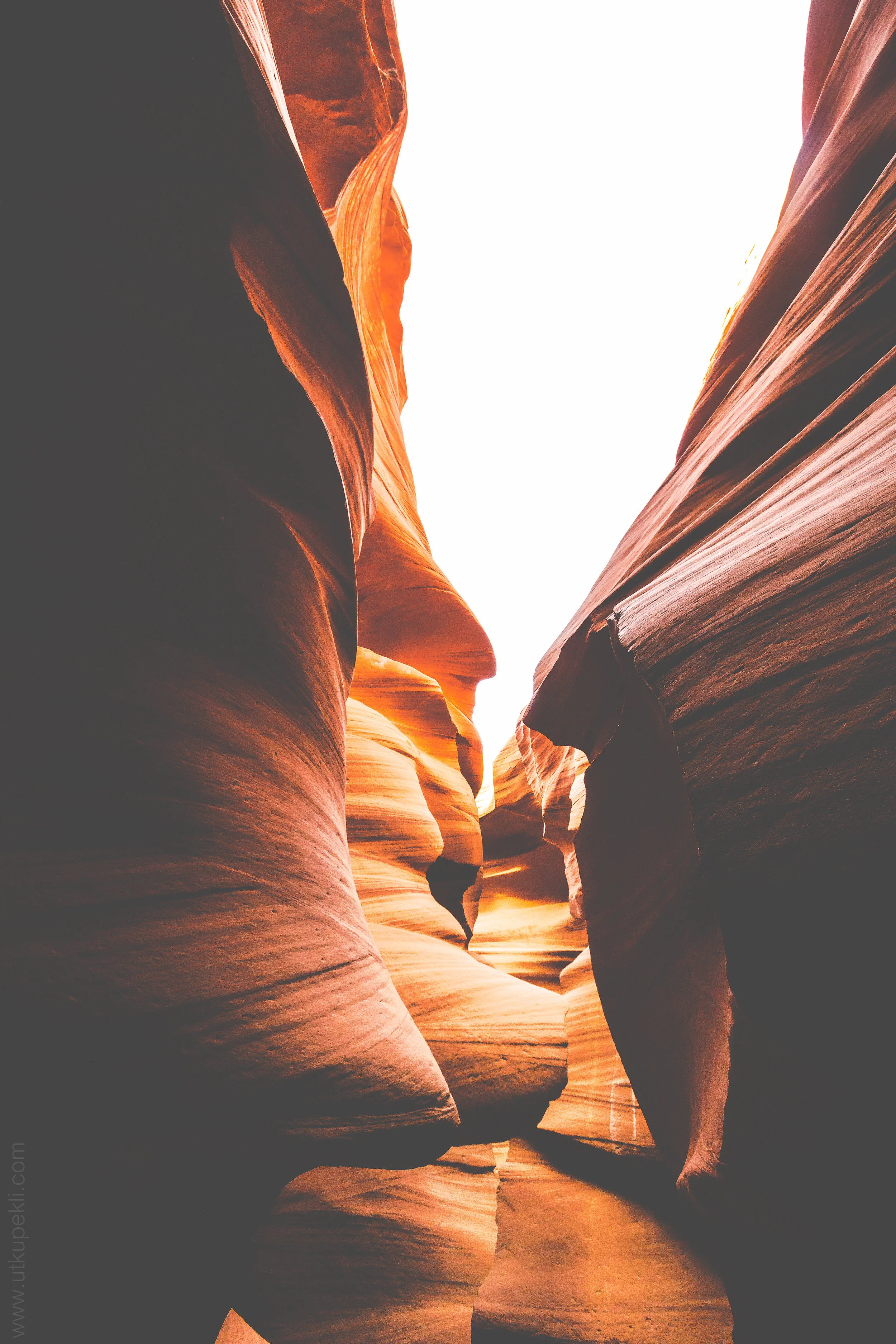 canyon (15).jpg